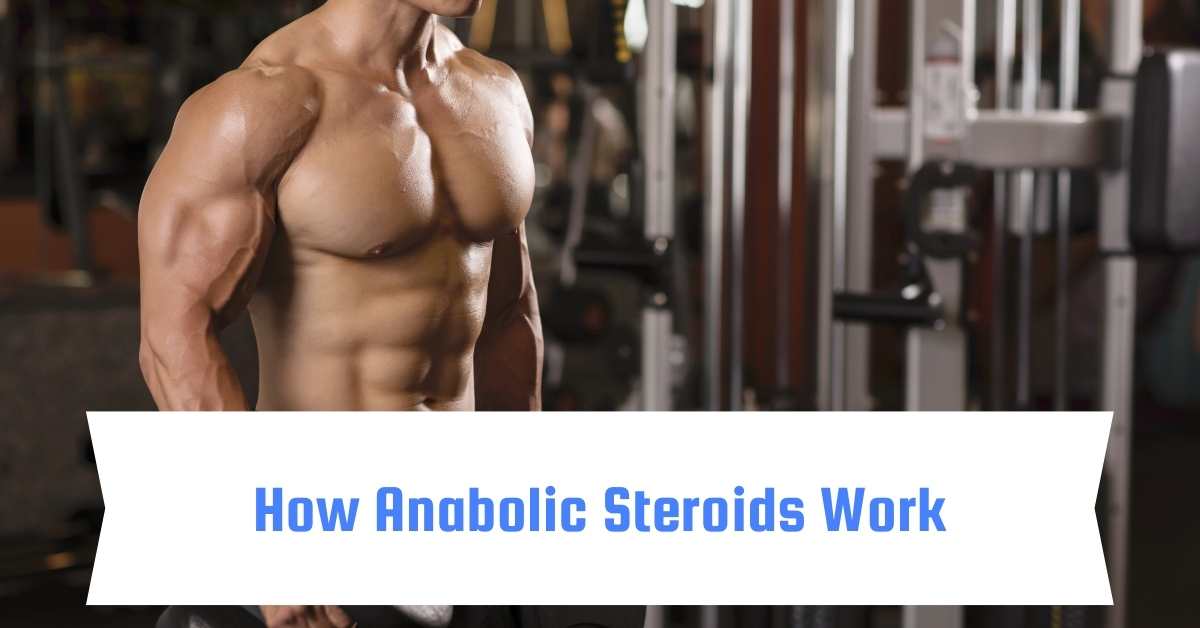 Anabolic Steroids