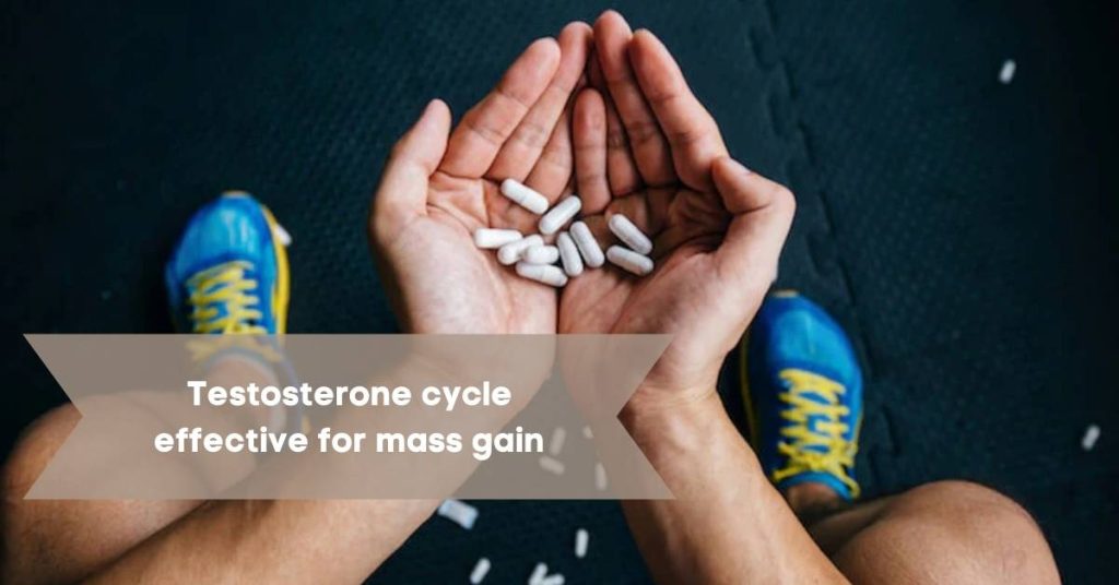 Testosterone cycle effective for Mass gain