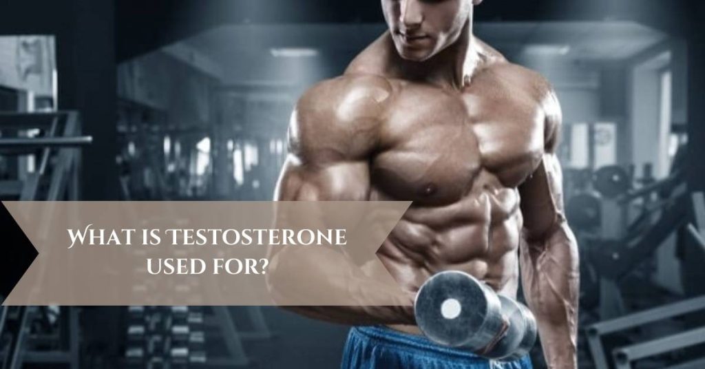 What is Testosterone used for